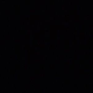 Meet your Posher, Dave